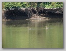 inlet_100830_10.jpg